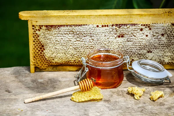 Jar of fresh honey with assorted tools for beekeeping, a wooden dispenser and tray of honeycomb from a bee hive in a still life on a wooden table outdoors with copy space
