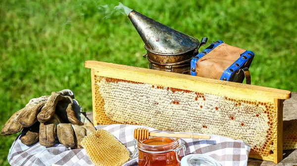 Пчеловод крупным планом расстегивает медовые соты специальной вилочкой для пчеловодства. Сырой мед собирают из пчелиных ульев. Концепция пчеловодства — стоковое фото