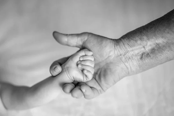 Oude oma-handen die pasgeboren handen vasthouden, vierde generatie gezinsleven. zwart-wit foto, het concept van een gezin en een nieuw leven in een selectieve focus — Stockfoto