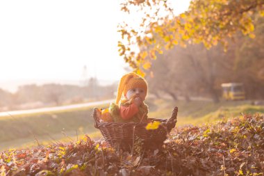 Çocuk seçme. Gün batımında parkta bir sepetin içinde çocuklar için eğlence. Sağlıklı besinler