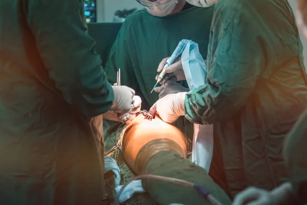 hip replacement surgery in progress, open cavity with scalpel and soft-tissue retractors. Orthopedic surgeons in teamwork in the operating room with modern arthroscopic tools. Hospital background.