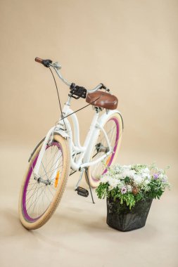 vintage bicycle with flower basket on beige background.