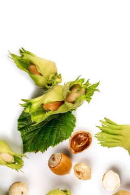 Beyaz arkaplanda izole edilmiş metnin için yaprakları olan bir grup fındık. Üst Manzara. Düz yatıyordu.