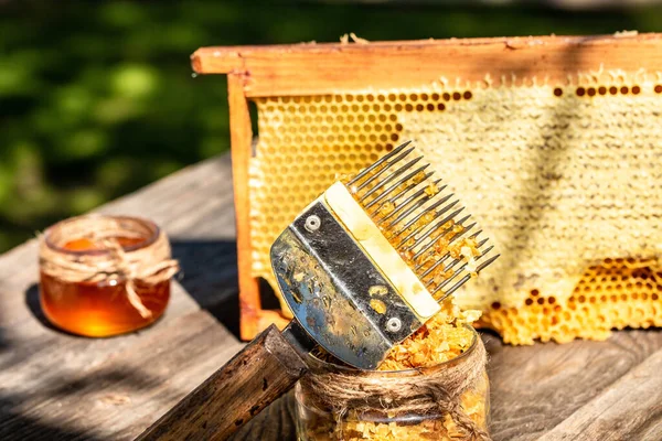 Imkerwerkzeuge Rahmen Mit Bienenwachsstruktur Voll Frischem Bienenhonig Waben Frischer Honig — Stockfoto
