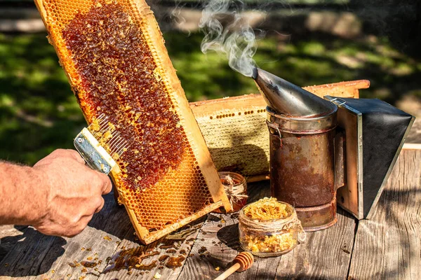 Arıcılık Kavramı Arıcılık Araçları Bal Peteğindeki Bal Arılarıyla Dolu Balmumu — Stok fotoğraf