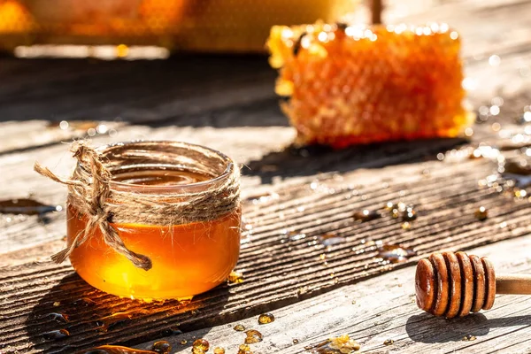 Honung Burk Med Honung Dipper Honung Kammar Med Fulla Celler — Stockfoto