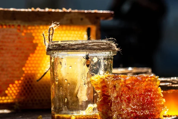 Bienen Fliegen Auf Hintergründigen Waben Mit Vollen Honigzellen Bio Natürliche — Stockfoto