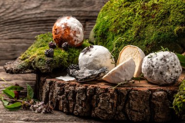 Farklı keçi peynirleri, küle bulanmış yumuşak Fransız peyniri, ev yapımı peynir çiftçisi. Doğal ekolojik gıda, yemek, pankart, menü, tarif.