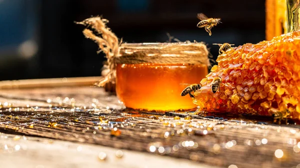 Macro photo of a bee hive on a honeycomb. Bees produce fresh, healthy, honey. Honey background. Beekeeping concept. Long banner format.