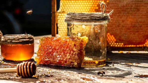 Вкусный Мед Свежие Соты Милый Сотовый Медовая Пчела Медовый Фон — стоковое фото