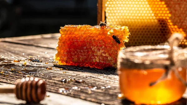 Söta Honungsbitar Kammar Och Honungsdopp Honung Droppar Från Honungsratten Honeycomb — Stockfoto