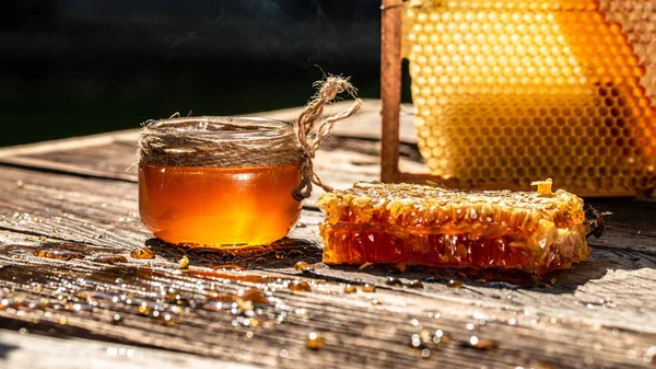 Heerlijke Honing Verse Honingraten Lieverd Honingraat Honingbij Honing Achtergrond Bijenteeltconcept — Stockfoto