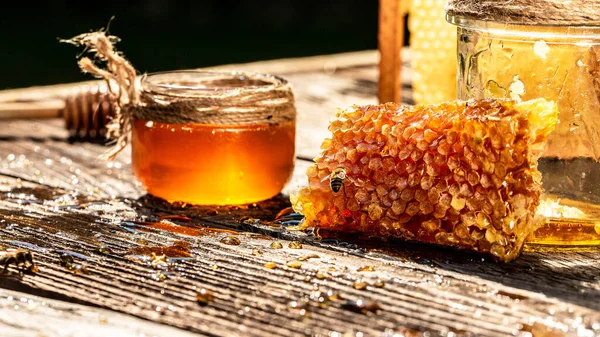 Delicious Honey Pieces Combs Honey Dipper Honey Background Beekeeping Concept — Stock Photo, Image