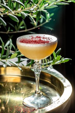 Altın tepside kristal bardakta köpüklü ve kırmızı tozlu zarif bir kokteyl. Boşluğu kopyala.