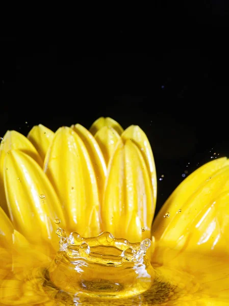 Çiçekli sıçrama fotoğrafçılığı