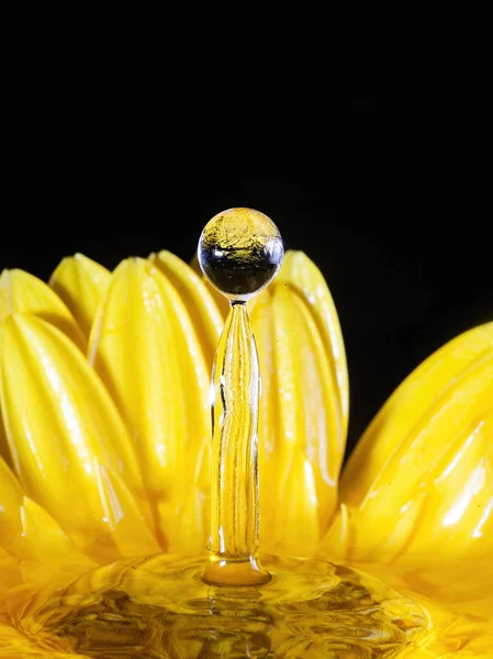 Çiçekli sıçrama fotoğrafçılığı