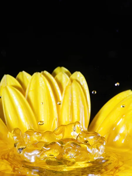 Çiçekli sıçrama fotoğrafçılığı