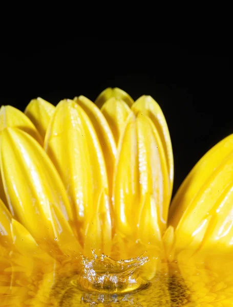 Çiçekli sıçrama fotoğrafçılığı