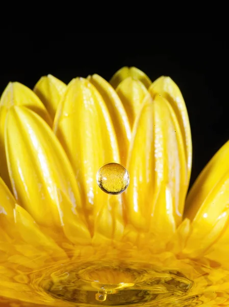 Çiçekli sıçrama fotoğrafçılığı