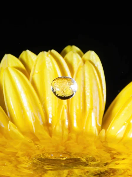 Çiçekli sıçrama fotoğrafçılığı