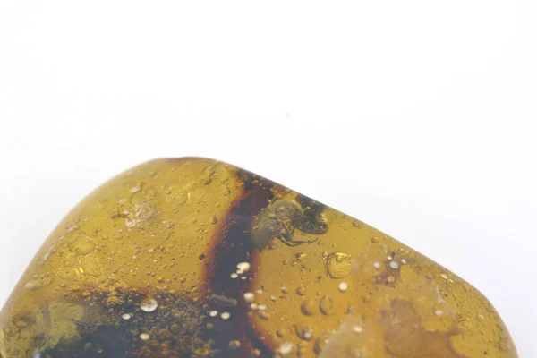 Zkamenělý Komáří Brouk Uvnitř Jantarového Kamene Milionů Let Starý Hmyz — Stock fotografie