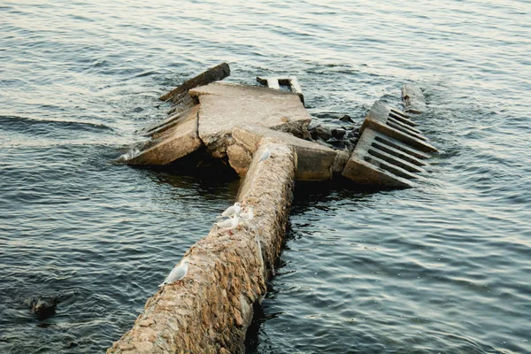 Una Bandada Gaviotas Están Sentadas Muelle —  Fotos de Stock