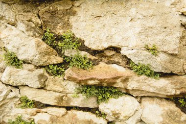 Site için tuğla duvar arka plan