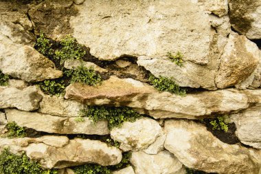 Site için tuğla duvar arka plan