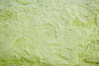 Site için arka plan taş duvar