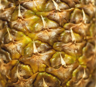 Olgun ananas yakın çekim