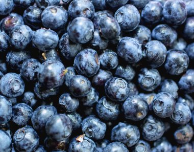 Çok olgun yaban mersini