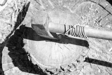 Kış için odun ülkenin hazırlanması