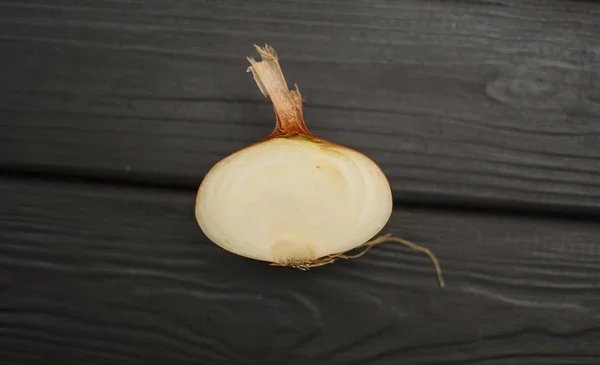 Fresh onion in cut