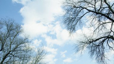 Bulutlar planı ile mavi gökyüzü arka plan