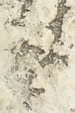 Vintage Gri Boyalı Duvar