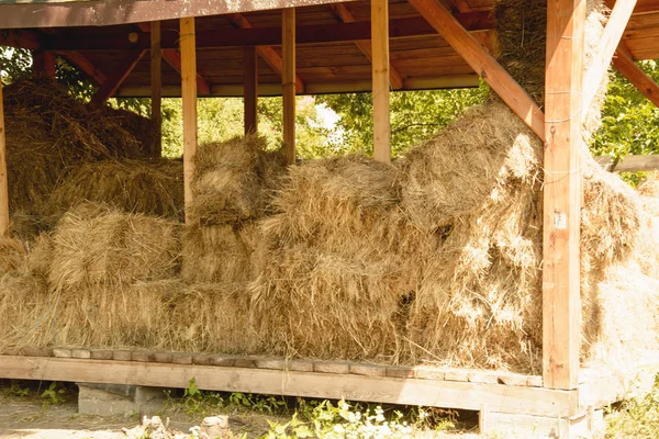 Harvesting Hay Animals — Stock Photo, Image