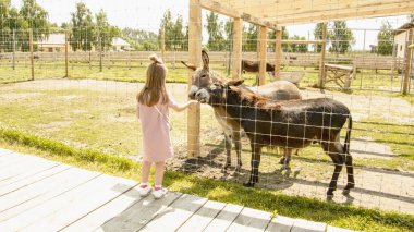 Kız hayvanat bahçesinde eşekbesliyor