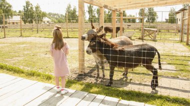 Kız hayvanat bahçesinde eşekbesliyor