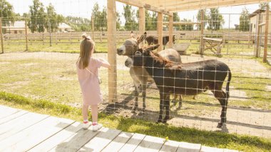 Kız hayvanat bahçesinde eşekbesliyor