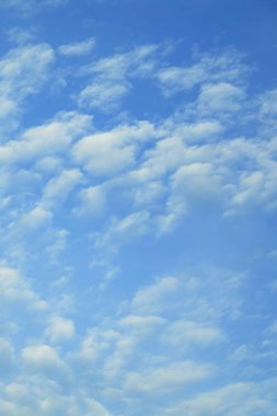 Yaz aylarında mavi gökyüzü arka plan