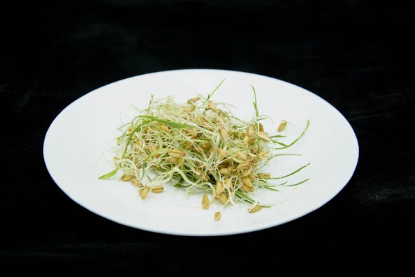 Piatto Con Grano Germogliato Fondo Scuro — Foto Stock