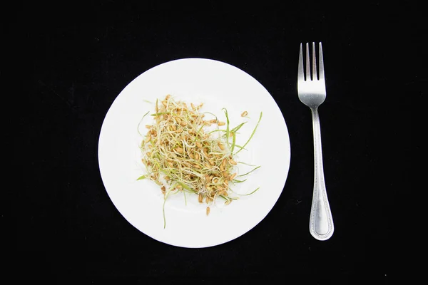 Piatto Con Grano Germogliato Fondo Scuro — Foto Stock