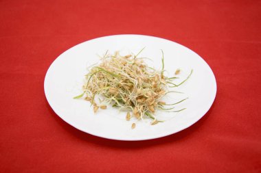 Kırmızı zemin üzerinde filizlenmiş buğday tabağı