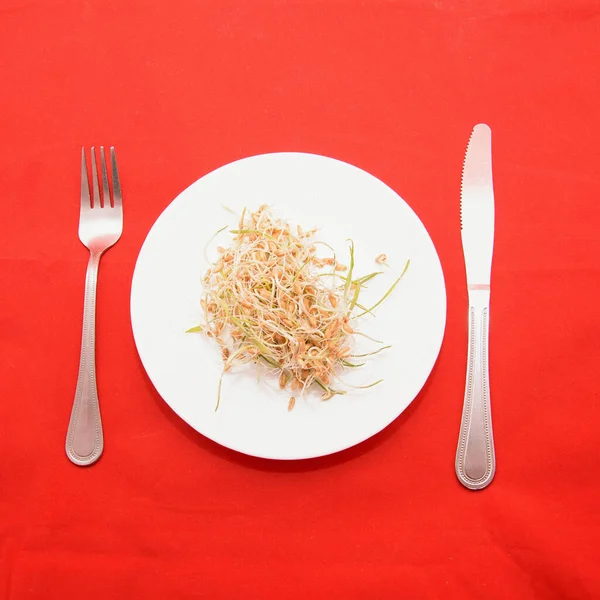 Piatto Con Grano Germogliato Fondo Rosso — Foto Stock