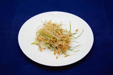 Mavi arka planda filizlenmiş buğday tabağı