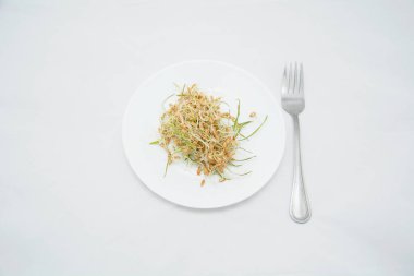 Beyaz arka planda filizlenmiş buğday tabağı