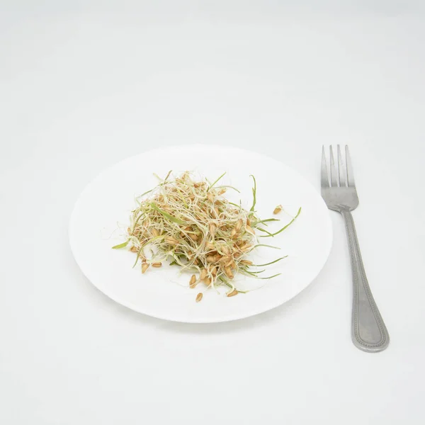 Plato Con Trigo Germinado Sobre Fondo Blanco — Foto de Stock