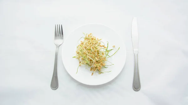 Een Bord Met Gekiemde Tarwe Een Witte Achtergrond — Stockfoto