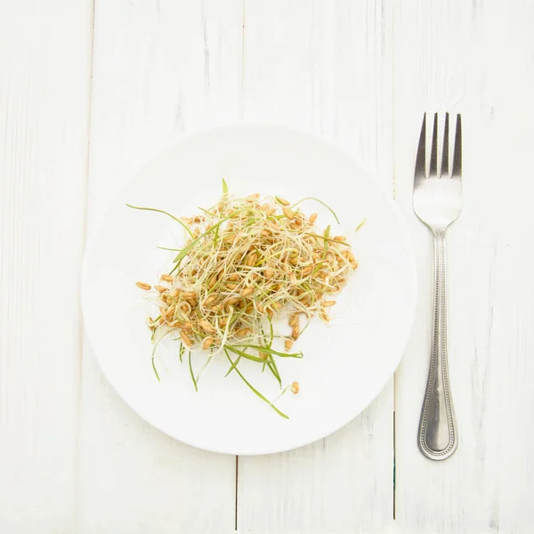 Piatto Con Grano Germogliato Sfondo Bianco — Foto Stock