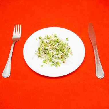 Kırmızı zemin üzerinde bir tabakta mikro-yeşil